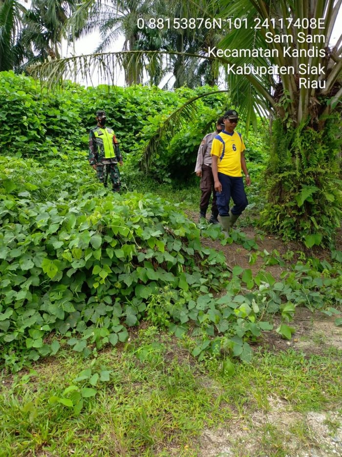 Pantau Karlahut, Anggota Koramil 11 Kandis Serda Sutikno Kembali Gelar Patroli