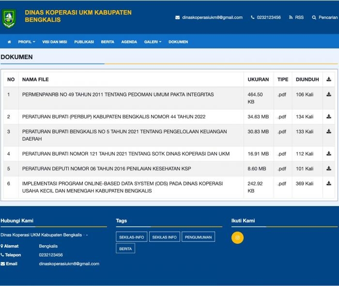 UMKM Bengkalis Go Digital: Inovasi Layanan Publik Lewat Sentuhan Teknologi Anak Negeri