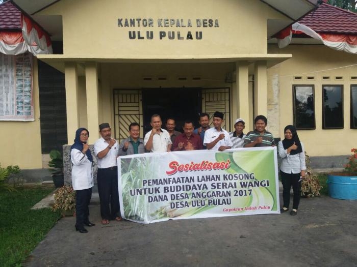 AKN Bengkalis dan Pemdes Ulu Pulau Gelar Sosialisasi Budidaya Serai Wangi