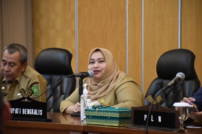 Bupati Kasmarni dan Gubri Syamsuar Sambut Baik Rencana Investor Bangun PLTS di Pulau Bengkalis 