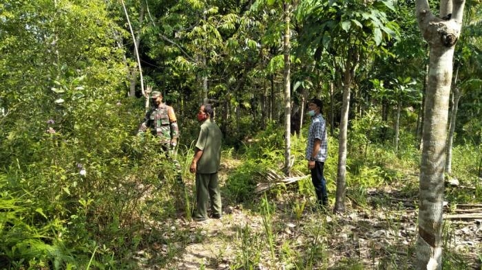 Pantau Titik Api, Babinsa Desa Resam Lapis Kembali Gelar Patroli Karlahut
