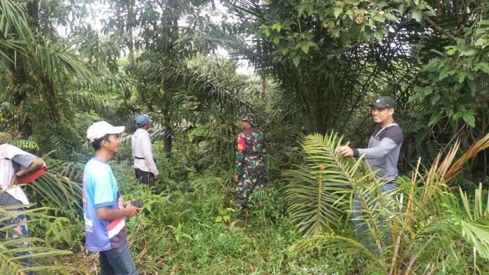 Cegah Terjadinya Kebakaran Hutan dan Lahan, Sertu Heppy Setiawan Giat Lakukan Patroli