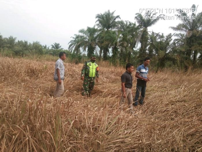 Personil Koramil 11 Kandis Kembali Gelar Patroli Karlahut