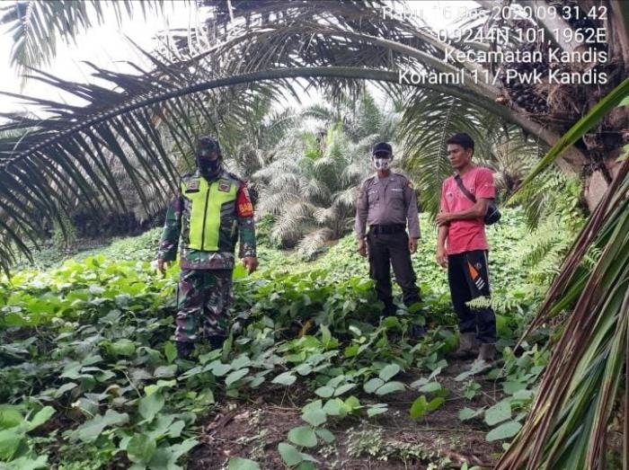 Anggota Danramil 11/Pwk Kandis Kembali Gelar Patroli Karlahut