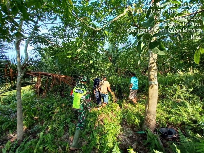 Antisipasi Kebakaran, Babinsa Desa Mengkopot Giat Lakukan Patroli