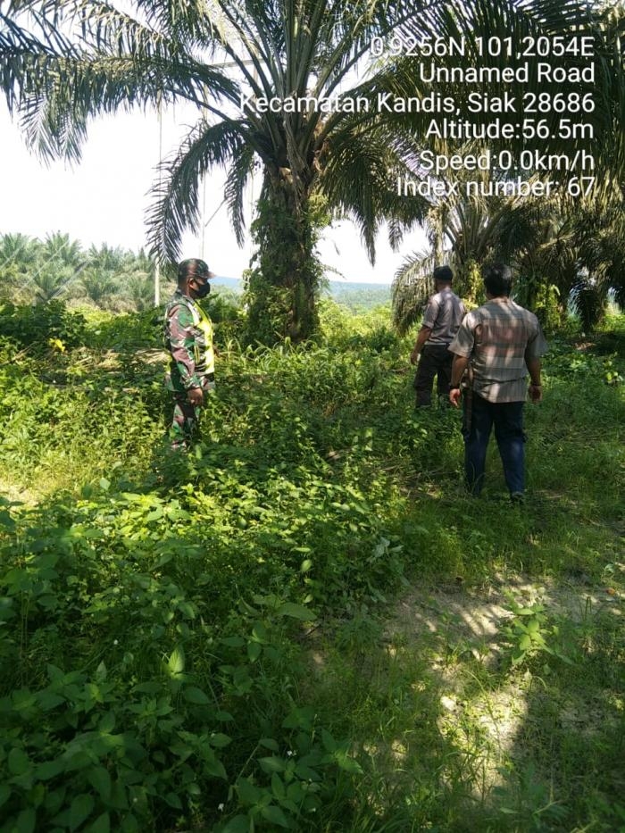 Pantau Titik Api, Babinsa Kampung Pancing Bekulo Kembali Lakukan Patroli Karlahut