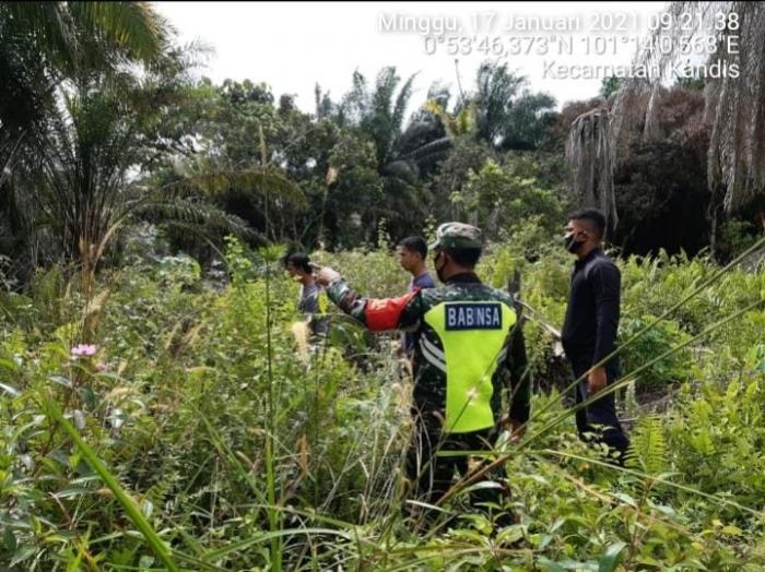 Anggota Koramil 11/Pwk Kandis Gelar Patroli Karlahut