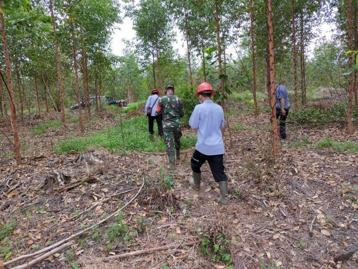 Cegah Kebakaran, Babinsa Kampung Tasik Betung Giat Lakukan Patroli Karlahut