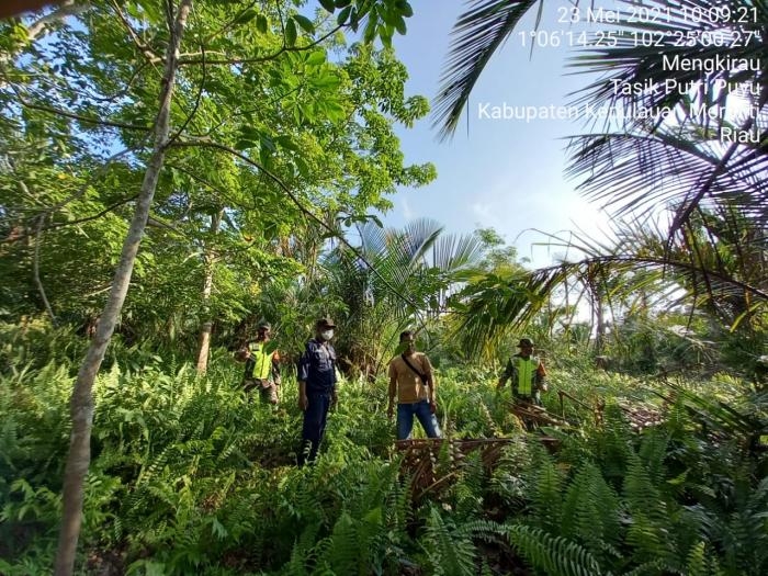 Antisipasi Bahaya Kebakaran, Babinsa Desa Mengkirau  Giat Lakukan Patroli Karlahut
