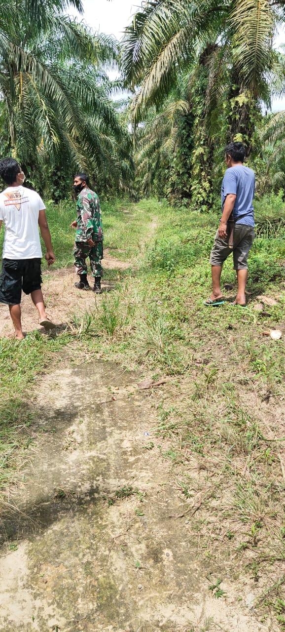 Babinsa Desa Minas Jaya Gelar Patroli Karlahut Bersama Warga