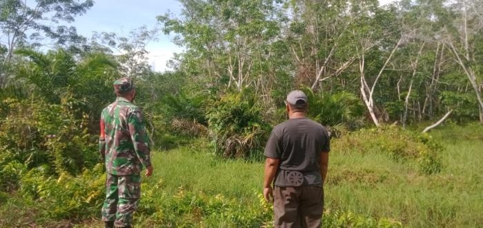 Pantau Titik Api, Babinsa Desa Selatbaru Giat Laksanakan Patroli Karlahut