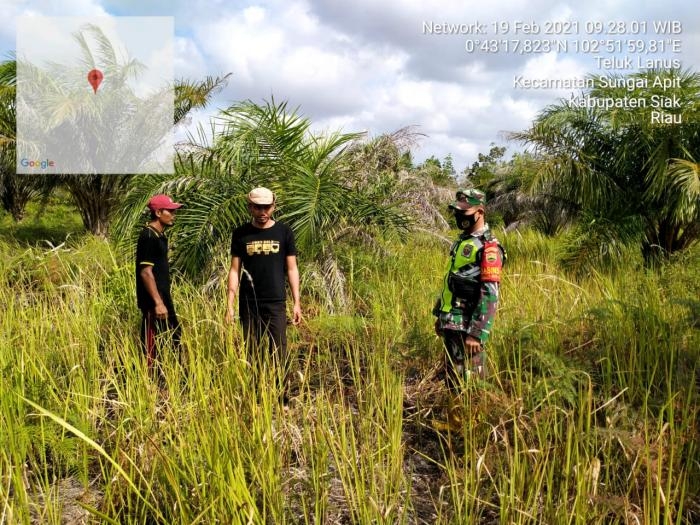 Cegah Karlahut, Babinsa Koramil 06 Sungai Apit Gelar Patroli