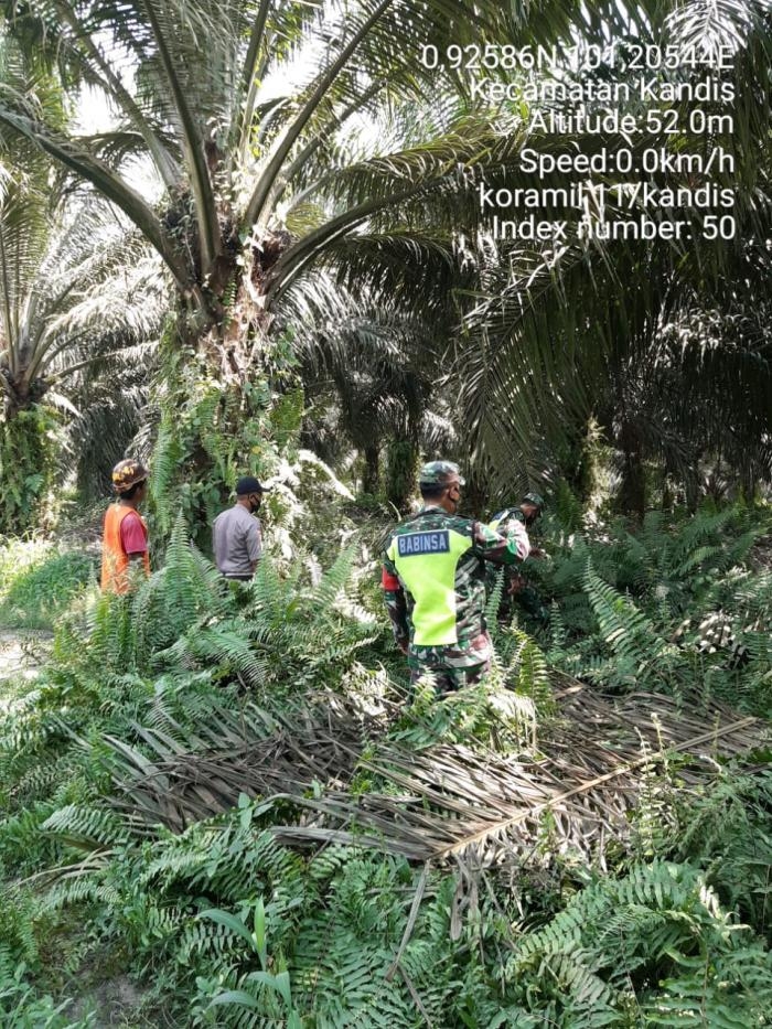 Pantau Titik Api, Anggota Koramil 11 Kandis Kopda K Sitohang Giat Lakukan Patroli Karlahut