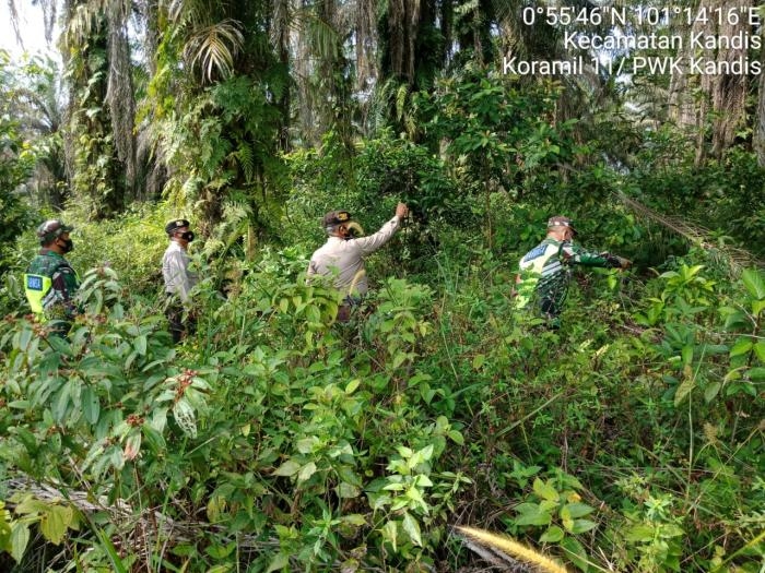 Pantau Titik Api, Babinsa Kampung Kandis Gencar Lakukan Patroli Karlahut