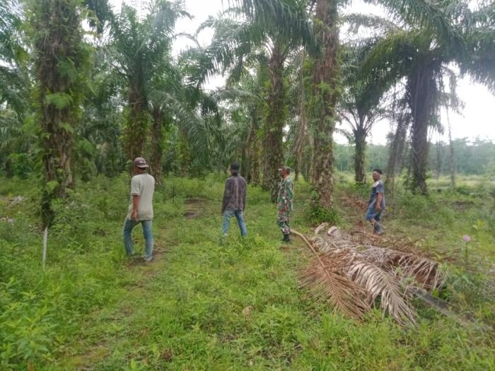 Awasi Titik Api, Babinsa Desa Resam Lapis Kembali Gelar Patroli Karlahut