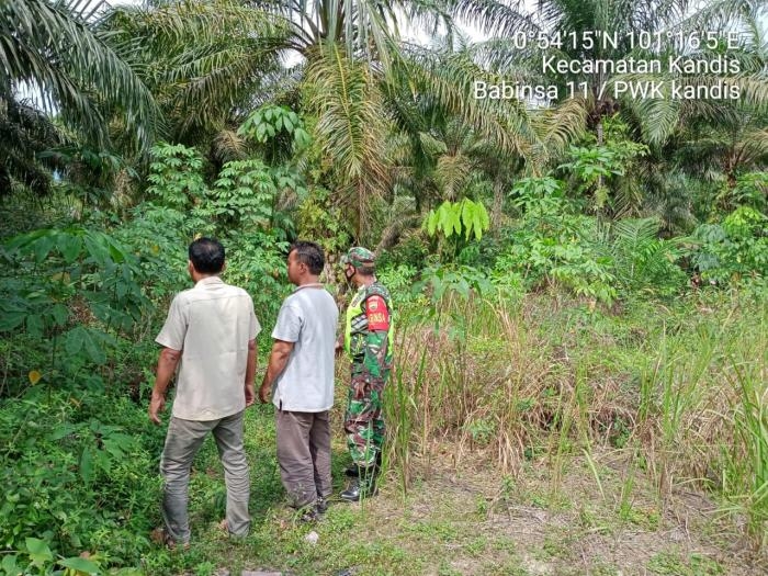 Personil Koramil 11 Kandis Gencar Lakukan Patroli Karlahut