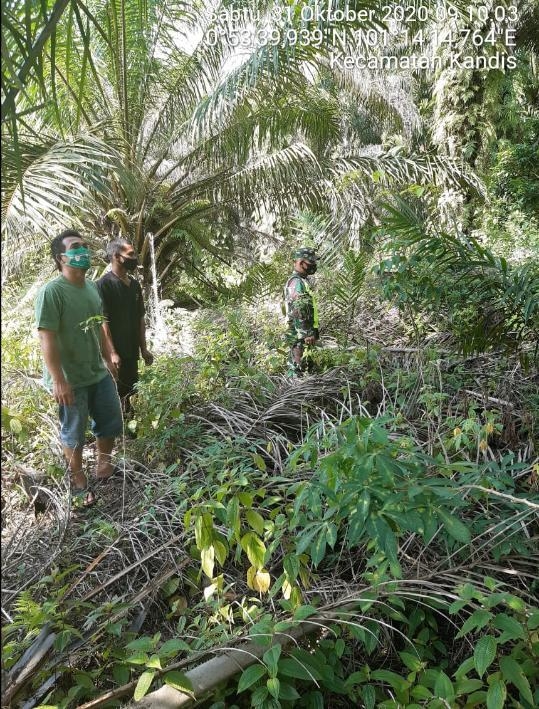 Cegah Karlahut, Babinsa Koramil 11/Pwk Kandis Gelar Patroli Karlahut