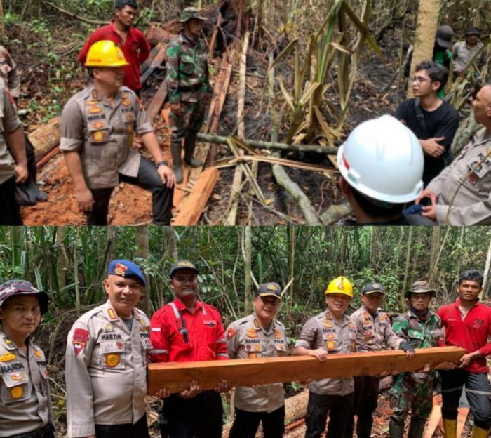 Kapolda Riau: Kayu Ditebang, Dibakar, Lalu Jadi Kebun Sawit 