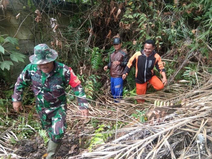 Cegah Terjadinya Kebakaran, Babinsa Desa Temusai Gelar Patroli Karlahut
