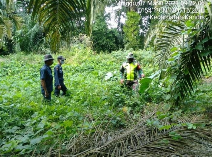 Awasi Kebakaran, Personil Koramil 11 Kandis Gelar Patroli Karlahut