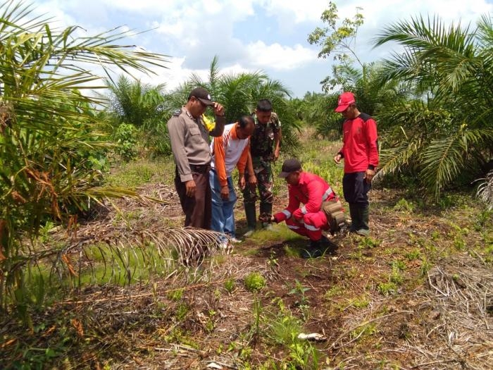 Cegah Terjadinya Kebakaran Hutan, Koptu Mayus Maruli Giat Lakukan Patroli