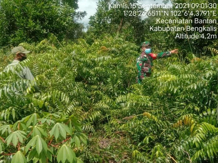 Cegah Kebakaran, Babinsa Desa Pambang Pratu T Silaban Kembali Gelar Patroli Karlahut