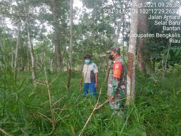 Antisipasi Kebakaran, Babinsa Desa Resam Lapis Serda Armansyah Kembali Menggelar Patroli Karlahut