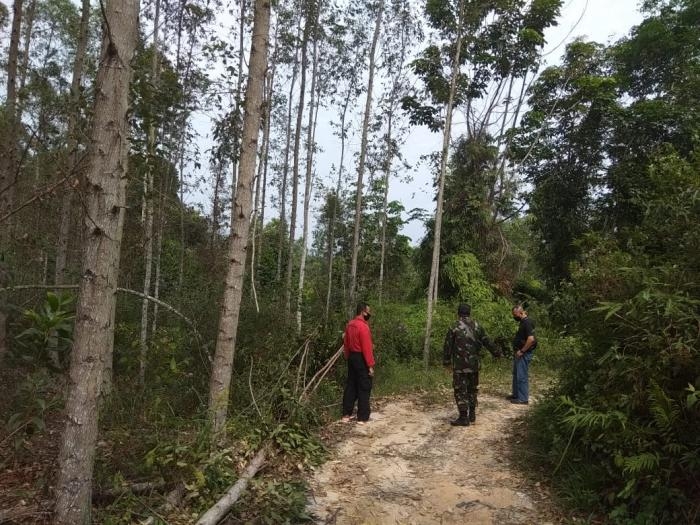 Bersama Tim Gabungan, Babinsa Pantau Titik Rawan Karlahut di Kampung Mandiangin
