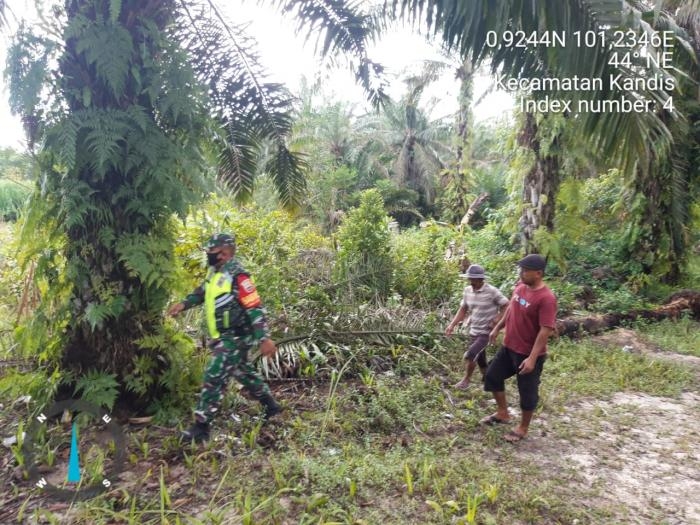 Situasi Cuaca Ekstrim, Babinsa Kampung Libo Jaya Serda Satria M Giat Lakukan Patroli Karlahut