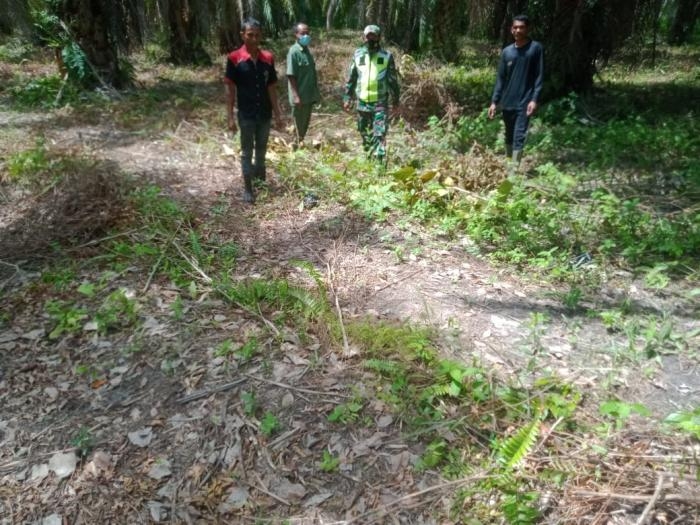 Cegah Kebakaran, Babinsa Desa Pasiran Kembali Gelar Patroli Karlahut