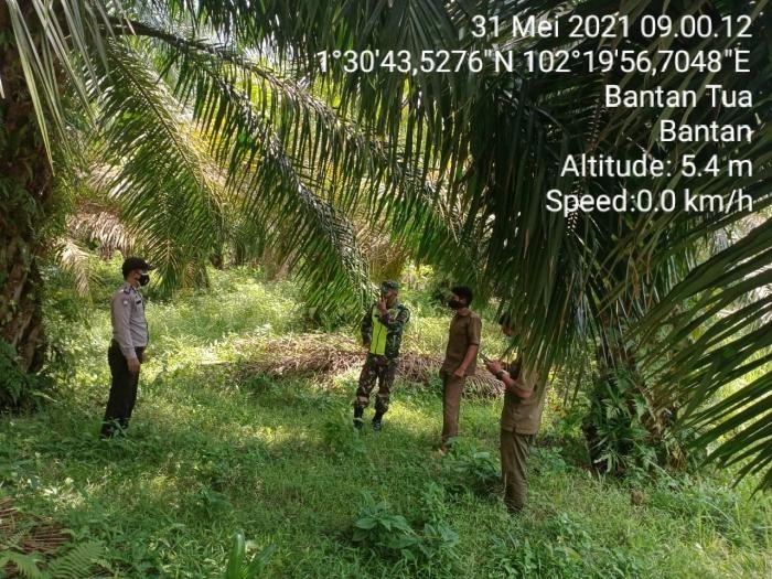 Pantau Titik Api, Babinsa Desa Bantan Tua Kembali Gelar Patroli Karlahut Bersama Warga