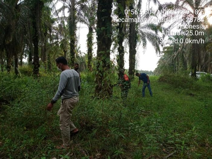 Cegah Kebakaran, Babinsa Desa Pematang Duku Serda SB Batu Bara Kembali Gelar Patroli Karlahut