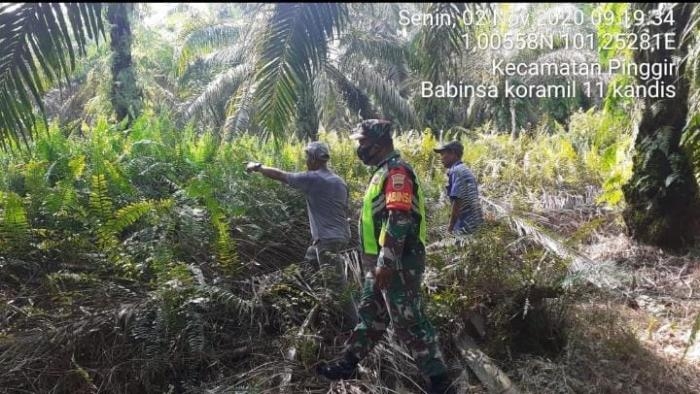 Cegah Karlahut, Babinsa Koramil 11/Pwk Kandis kembali gelar patroli.