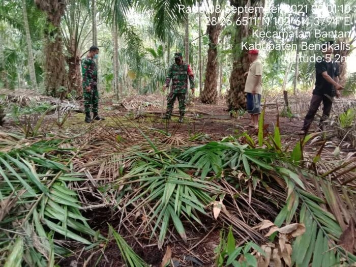 Cegah Kebakaran Hutan, Babinsa Desa Ulu Pulau Serda Zamzuri Gelar Patroli Karlahut