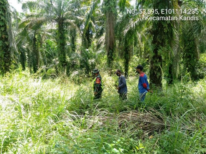 Awasi Kebakaran, Personil Koramil 11 Kandis Gelar Patroli Karlahut di Kampung Bekalar 