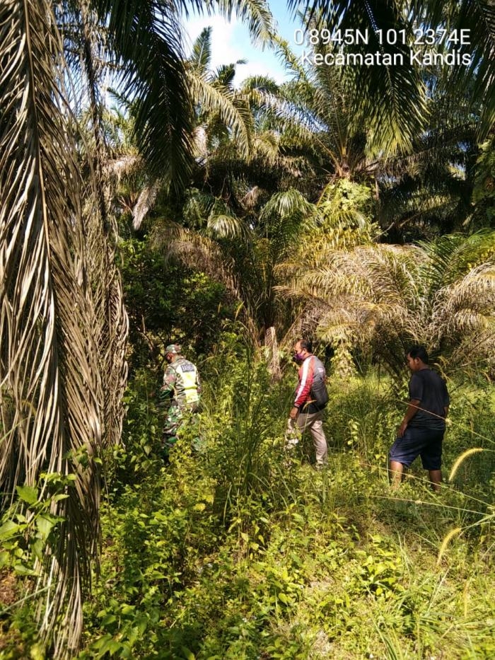Awasi Kebakaran, Personil Koramil 11 Kandis Gelar Patroli Karlahut
