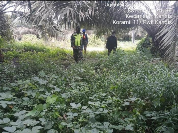 Anggota Danramil 11/Pwk Kandis Kembali Gelar Patroli Karlahut