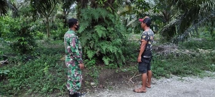 Cegah Kebakaran, Babinsa Desa Minas Jaya Gelar Patroli Karlahut