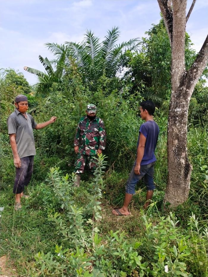 Cegah Titik Api, Sertu Pauzi Kembali Gelar Patroli Karlahut