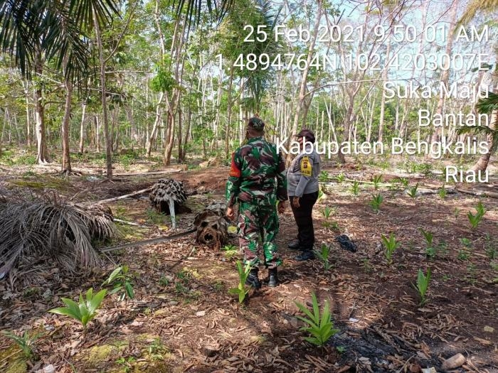 Cegah Kebakaran, Satuan Koramil 01 Bengkalis Gelar Patroli Karlahut