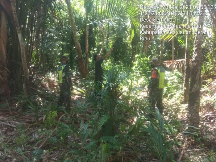 Antisipasi Bahaya Kebakaran Hutan, Babinsa Desa Semukut Giat Lakukan Patroli