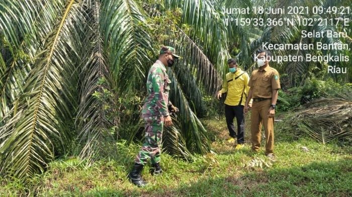 Cegah Kebakaran, Babinsa Desa Selatbaru Kembali Menggelar Patroli Karlahut