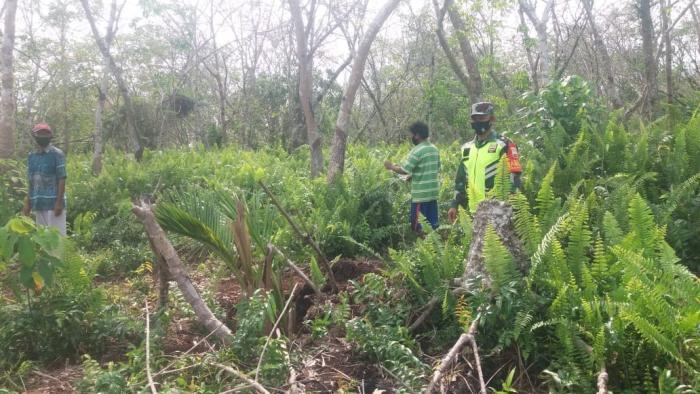 Cegah Karlahut, Babinsa Koramil 08/Merbau gelar Patroli di Desa Mengkirau.