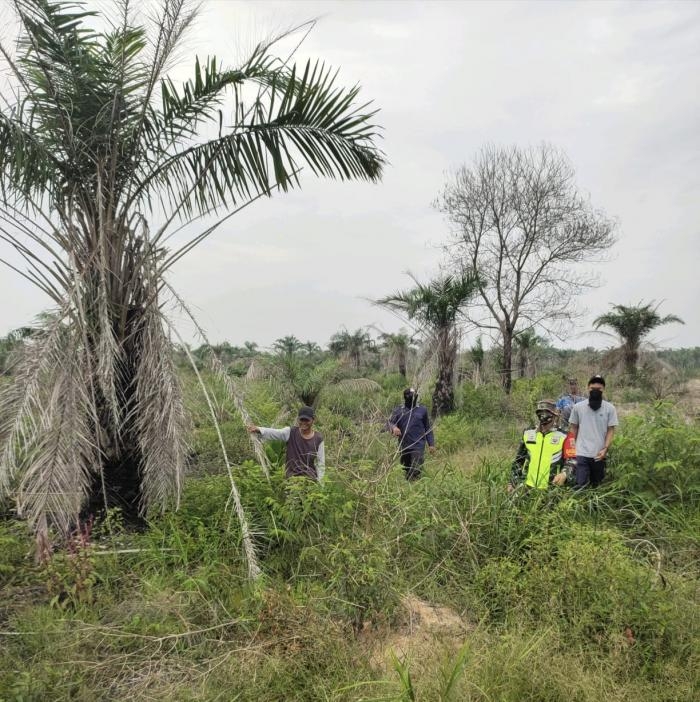 Pantau Karlahut, Anggota Koramil 11 Kandis Serda Roni Panjaitan Giat Lakukan Patroli