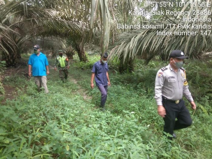 Pantau Karlahut, Babinsa Kelurahan Kandis Kota Kopda K Sitohang Giat Lakukan Patroli