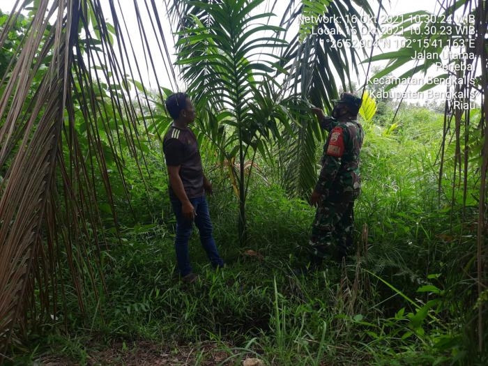 Serda SB Batu Bara Kembali Ingatkan Warga Desa Temeran Hindari Kebakaran Hutan dan Lahan