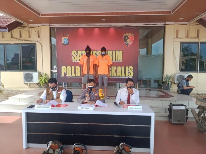 Sat Reskrim Polres Bengkalis Berhasil Gagalkan Tersangka S Pelaku Illegal Loging