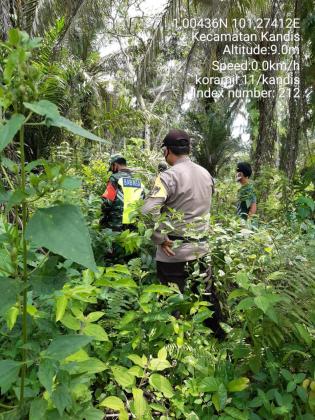Pantau Titik Api, Babinsa Kampung Kandis Gelar Patroli Karlahut