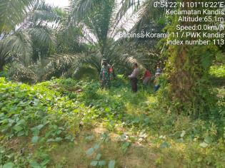 Cegah Kebakaran, Anggota Koramil 11 Kandis Giat Lakukan Patroli Karlahut