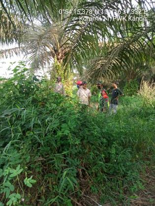 Babinsa Koramil 11 Kandis Giat Lakukan Patroli Karlahut